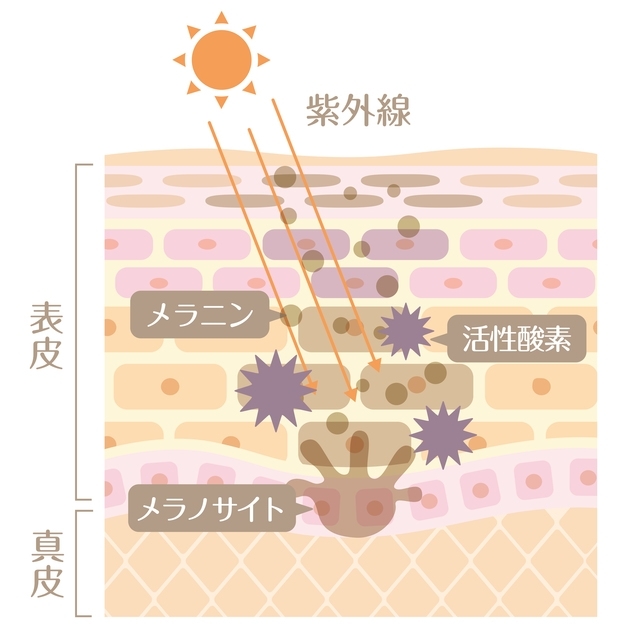 シミの予防方法