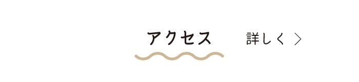 アクセス sp